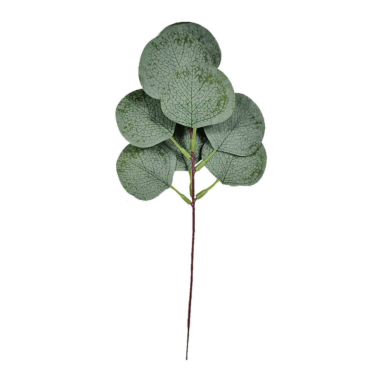 Artificial Silver Dollar Eucalyptus Pick for Floral Design