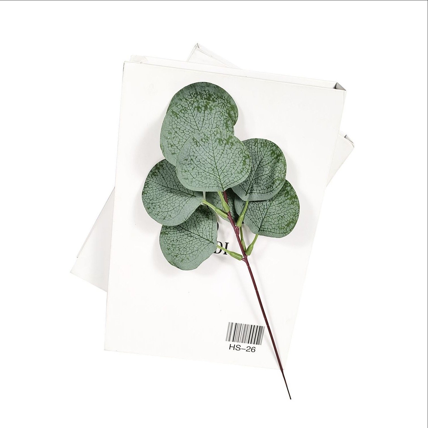 Artificial Silver Dollar Eucalyptus Leaves with White Buds