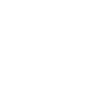 Step 5 – Packing and shipping wholesale artificial flowers from PJTL China factory