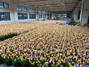 Wholesale artificial flowers bulk purchase in warehouse for export and distribution