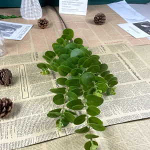 Green artificial 3d eucalyptus branch