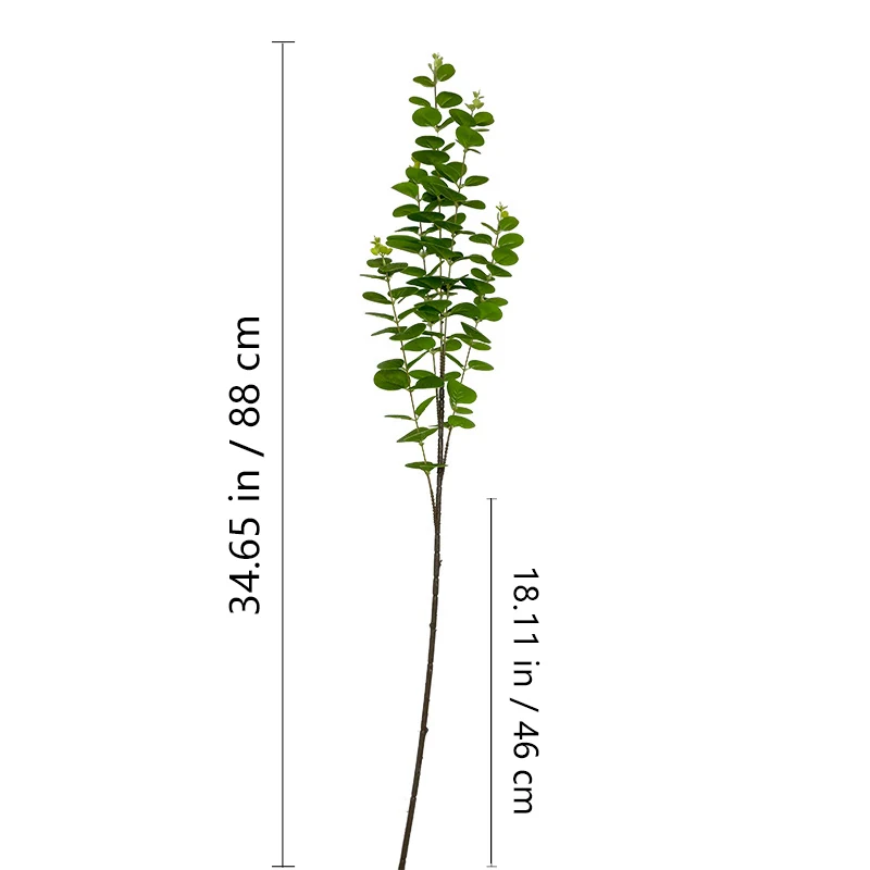 Size diagram for green artificial 3d eucalyptus branch