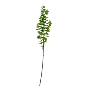 Green artificial 3d eucalyptus branch