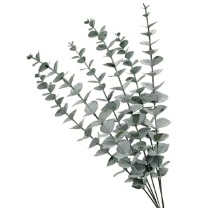 Close-up of grey-green round leaves on multiple artificial baby silver dollar eucalyptus stems