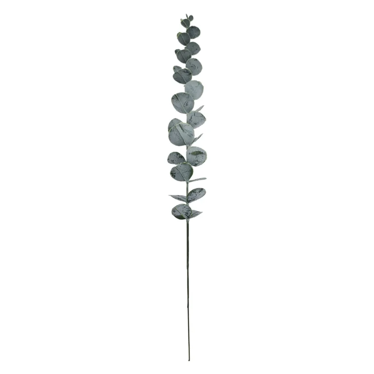 Künstliches Baby Silber Dollar Eukalyptus Vorbau