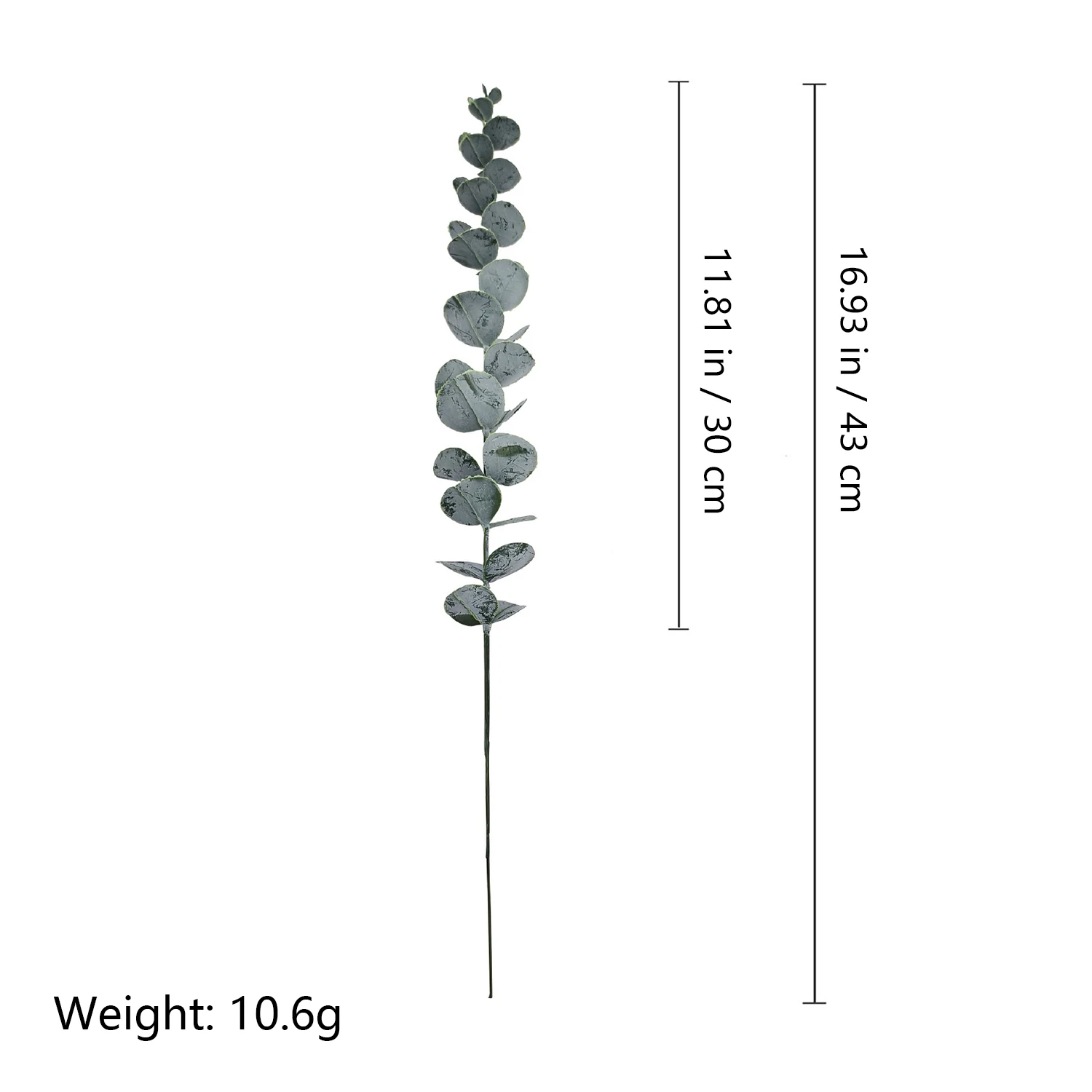 Size diagram for artificial baby silver dollar eucalyptus stem, 43 cm long with a 30 cm foliage section and 10.6 g reference weight
