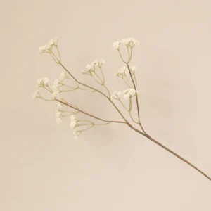 Cream artificial baby's breath spray