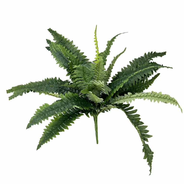 56 cm Artificial Boston Fern Bush