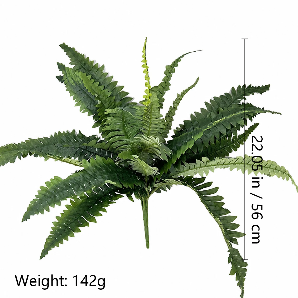 Size diagram for 56 cm artificial Boston fern bush