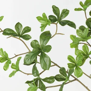 Close-up of leaf artificial boxwood leaf branch