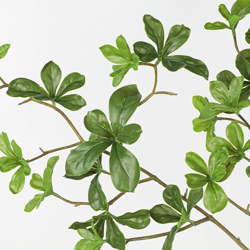Close-up of leaf artificial boxwood leaf branch