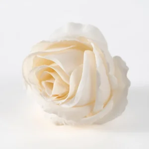 Warm White artificial Classic Rose Flower Head, 5 cm