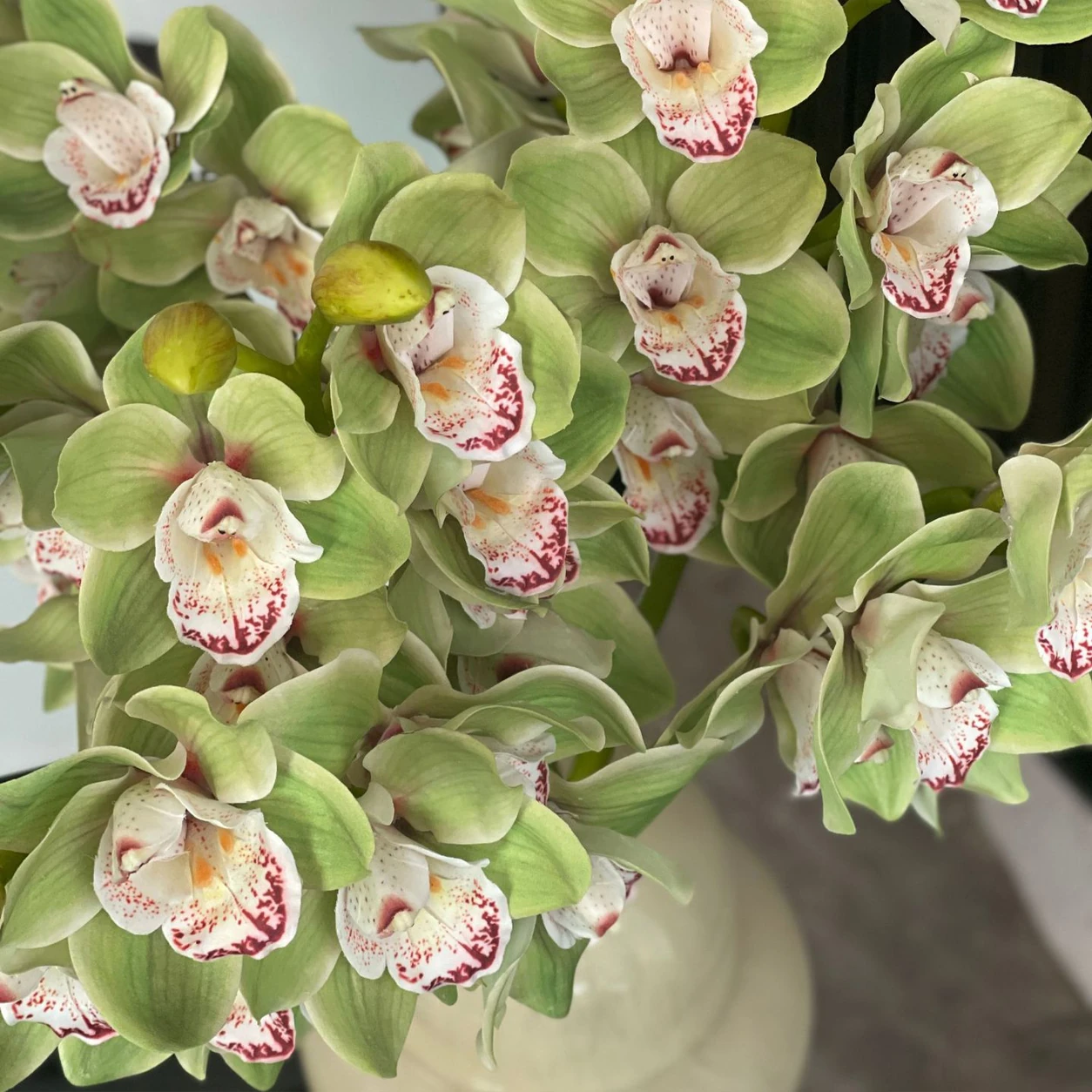 Close-up of blooms artificial cymbidium orchid stem