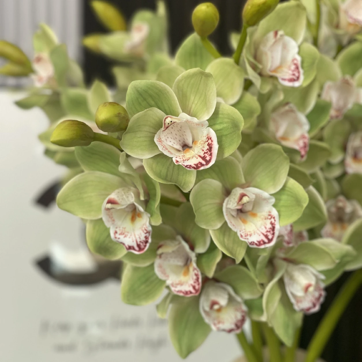 Close-up of artificial cymbidium orchid stem