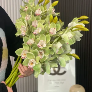 Handheld view of artificial cymbidium orchid stem