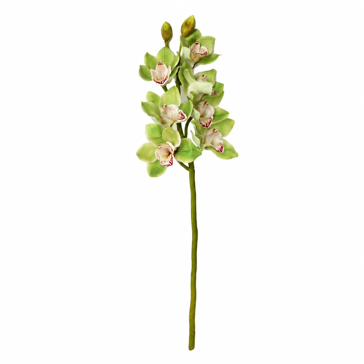 Artificial cymbidium orchid stem