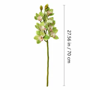 Size diagram for artificial cymbidium orchid stem, 70cm