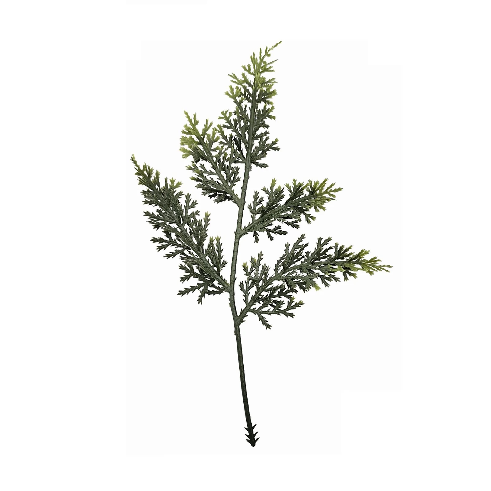 Branche de cyprès artificiel vert sur fond blanc, 25 cm