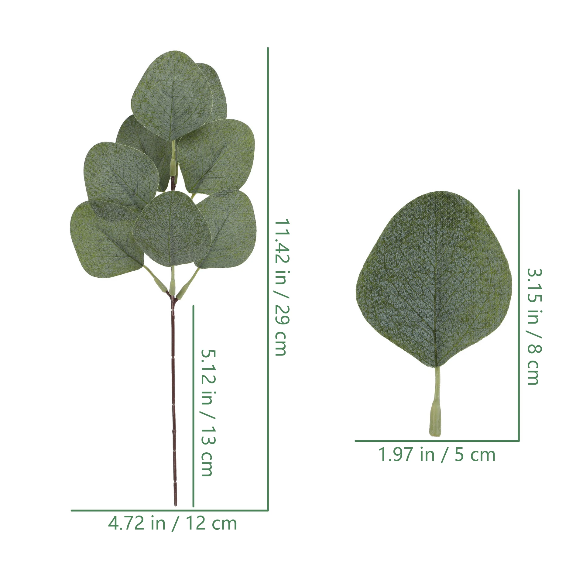 Size diagram for silver dollar leaf artificial decorative foliage branch collection