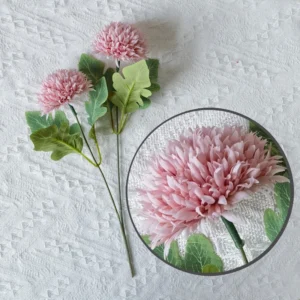 Close-up of light purple pompon chrysanthemum flower heads and coordinating leaves