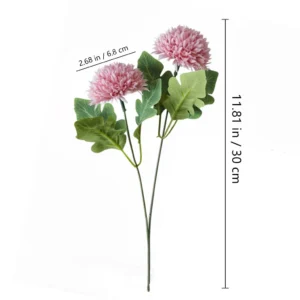 Size diagram for 30 cm light purple double-head pompon chrysanthemum stem with 6.8 cm flower heads
