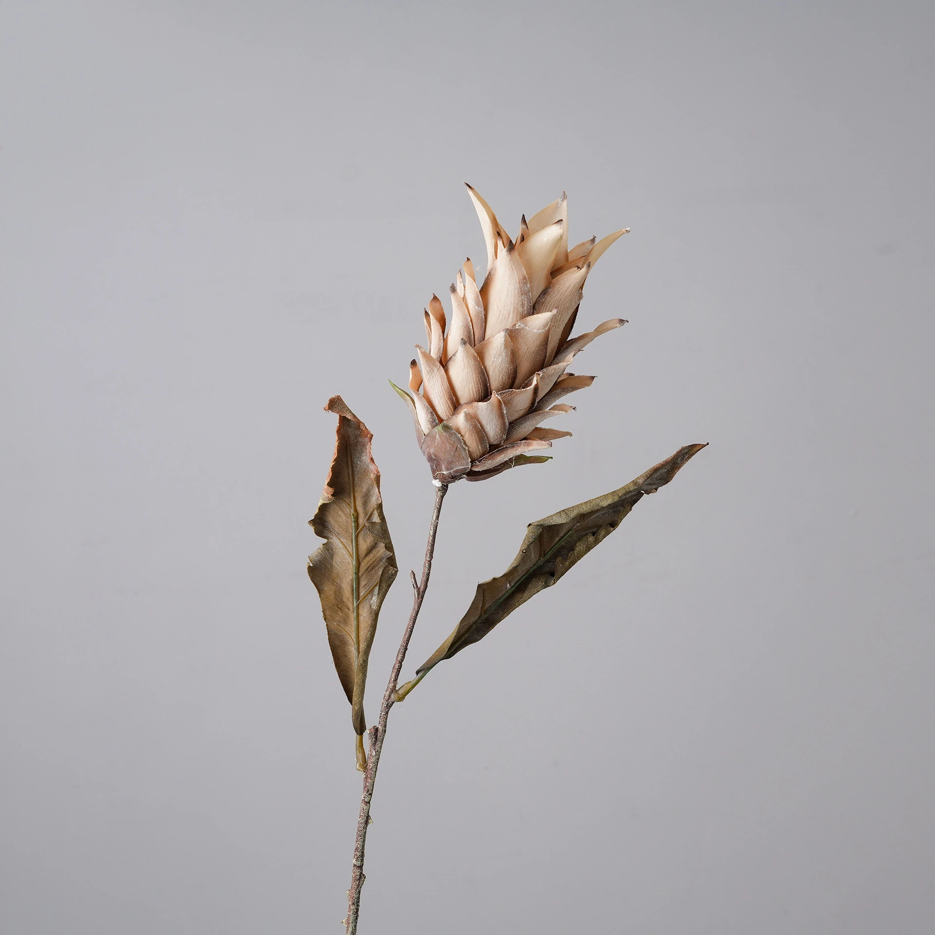 Beige artificial dried king protea stem