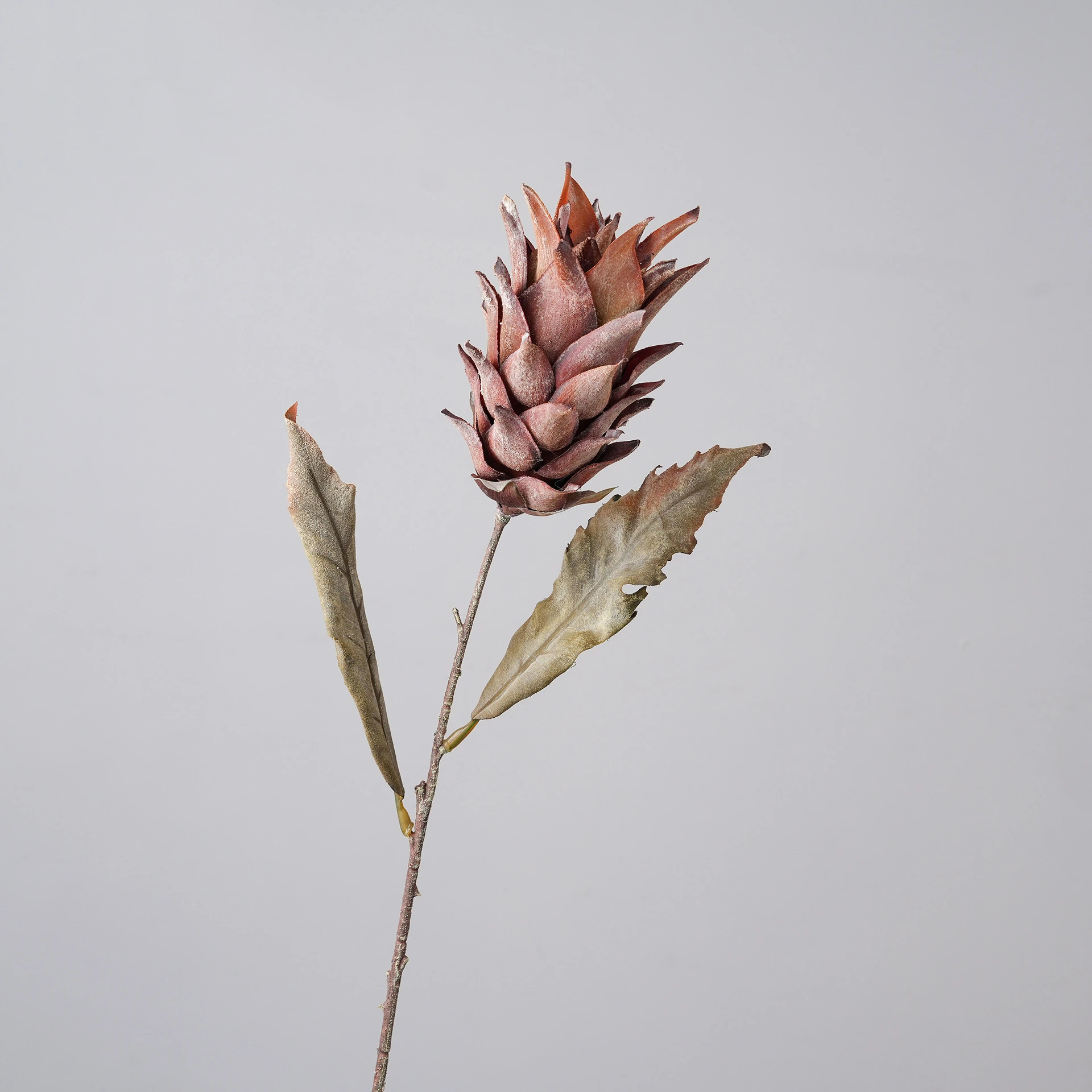 Brown artificial dried king protea stem