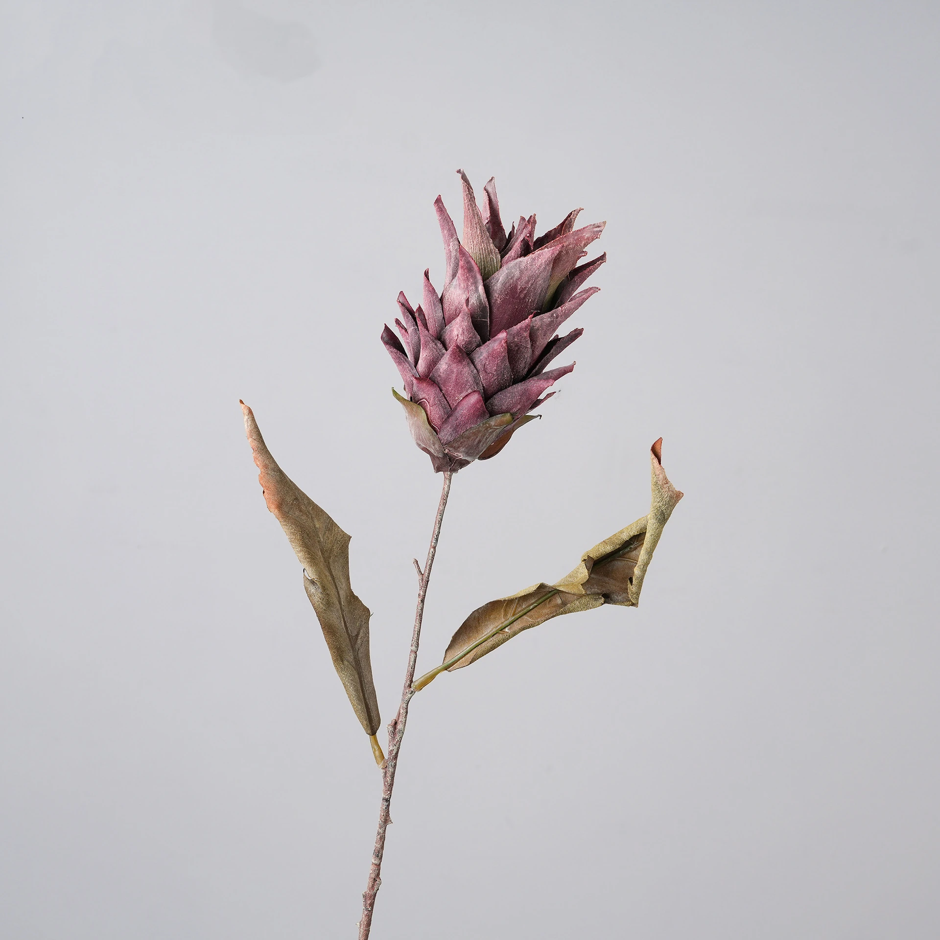 Dusty Rose artificial dried king protea stem