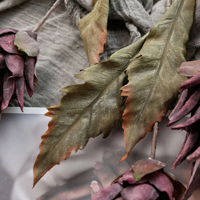 Close-up of leaf artificial dried king protea stem