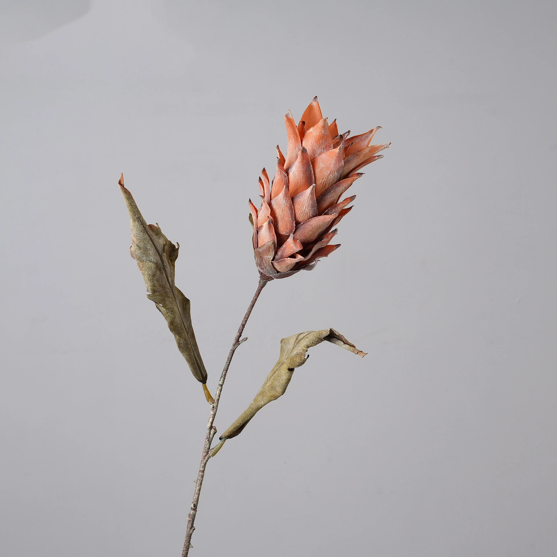 Orange artificial dried king protea stem