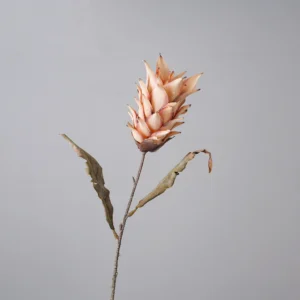 Peach artificial dried king protea stem