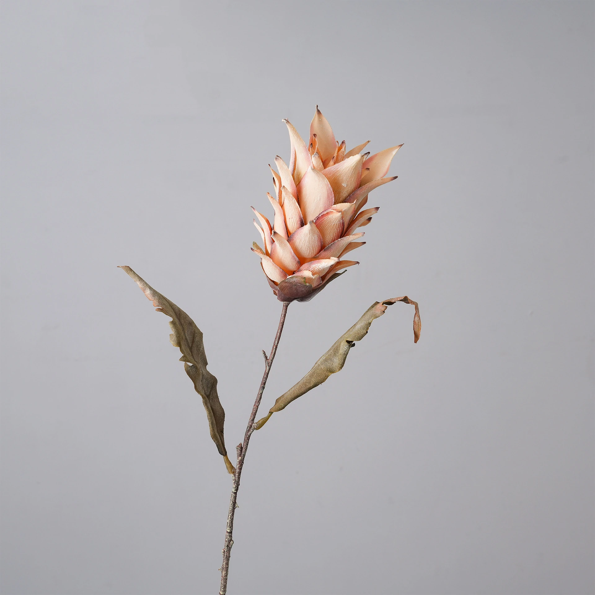 Peach artificial dried king protea stem