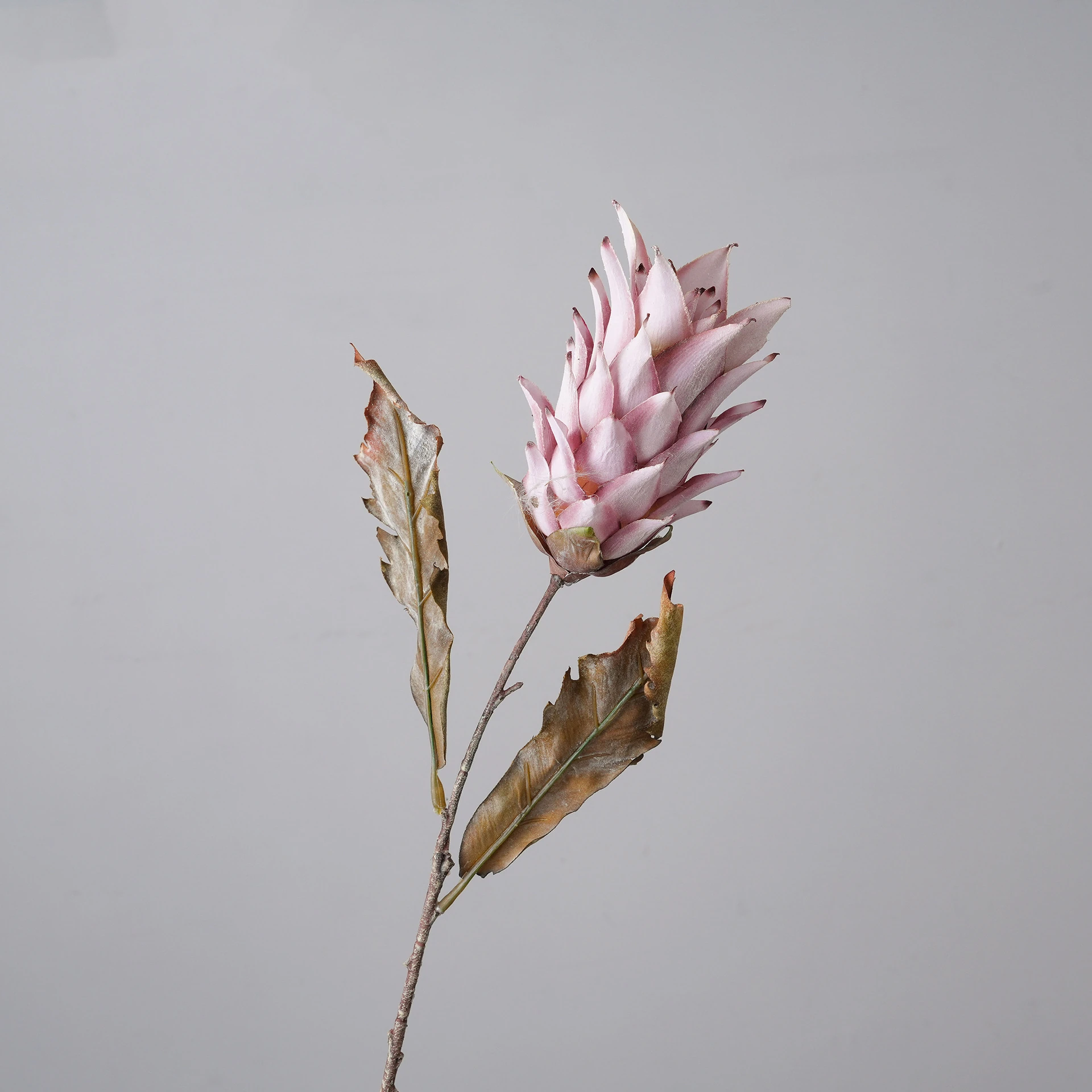Pink artificial dried king protea stem