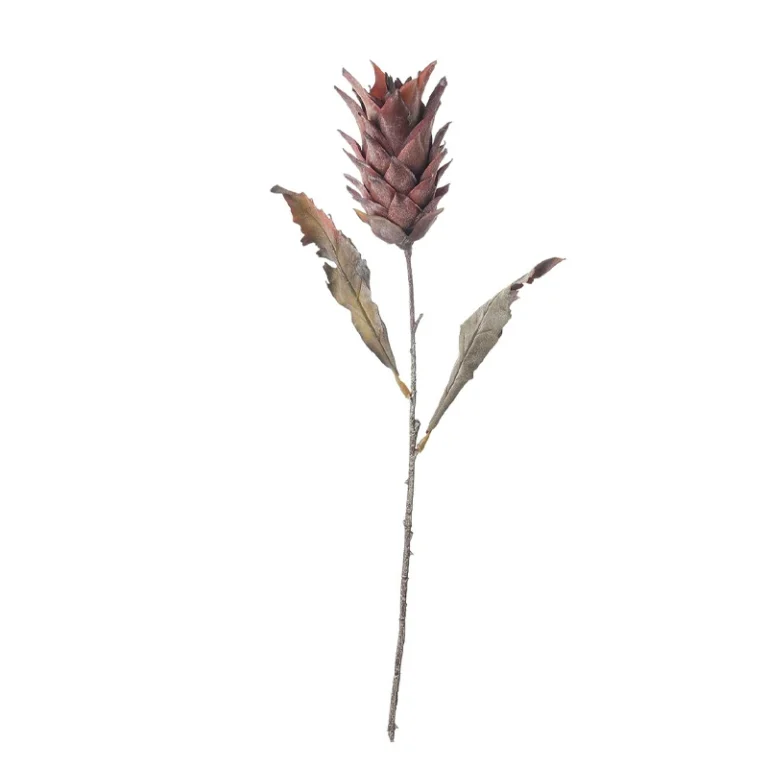 Artificial Dried King Protea Stem