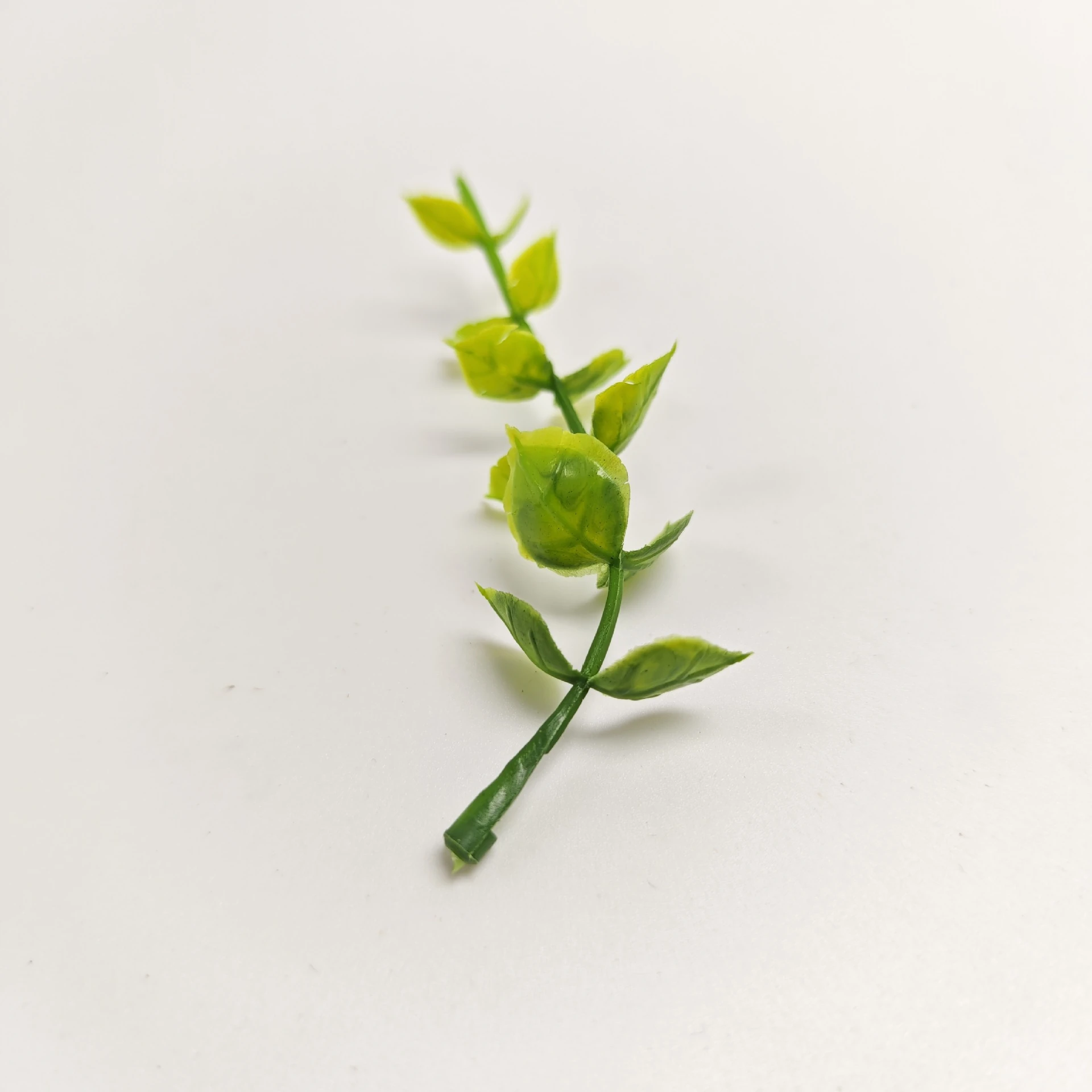 Close-up of artificial Eucalyptus Leaf Pick leaf