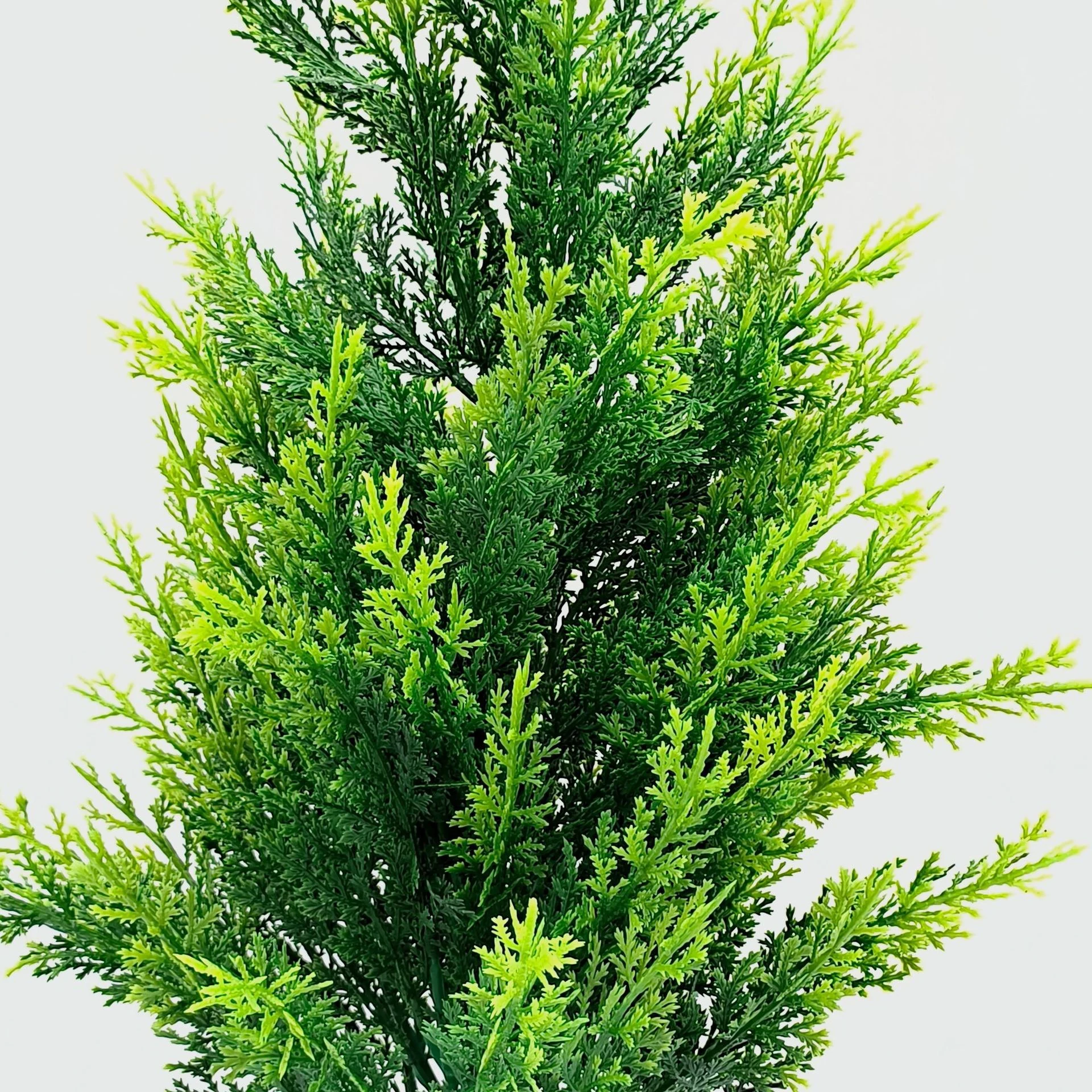Close-up of upright artificial evergreen bush foliage texture