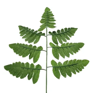 Dark Green artificial Fern Leaf Stem, 38 cm