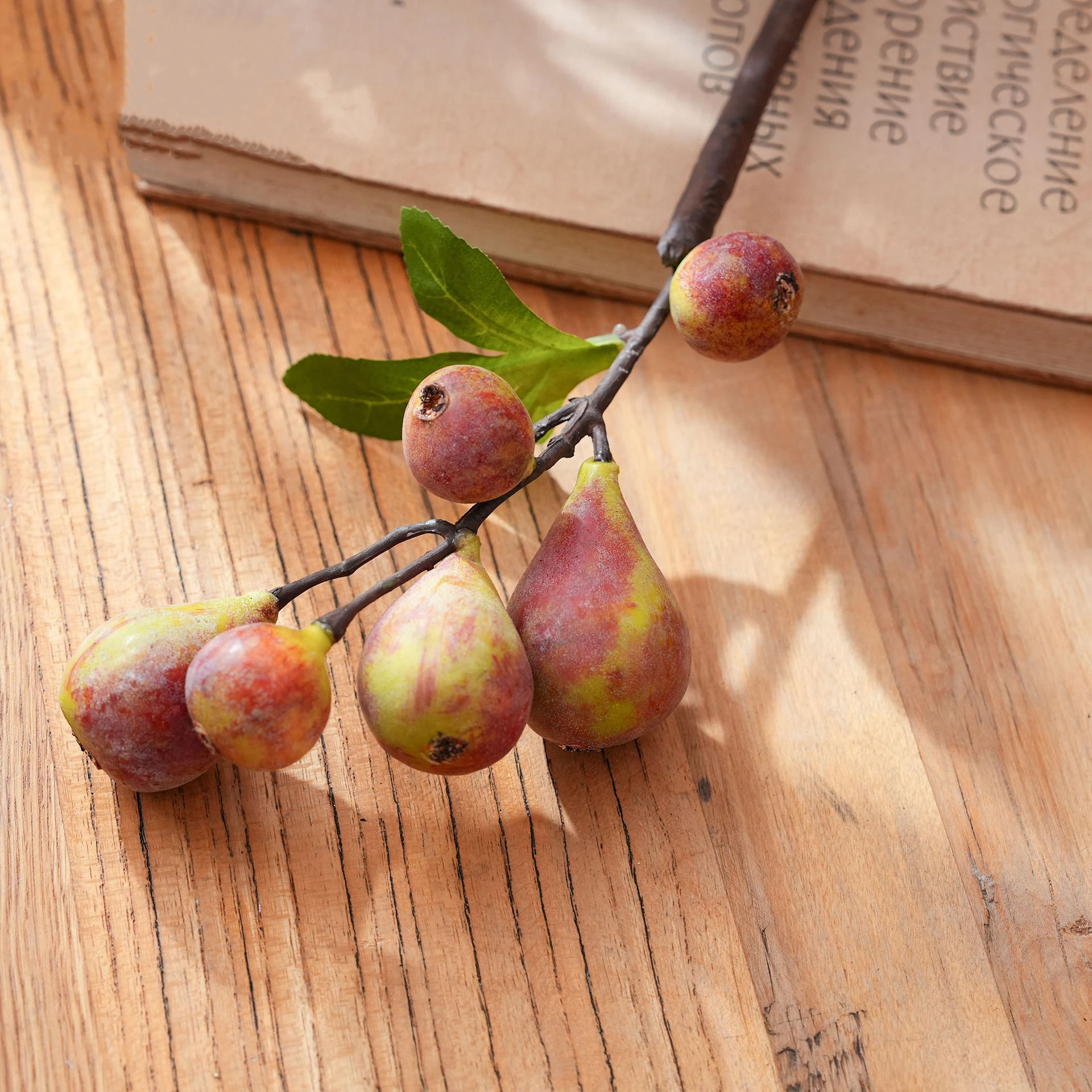 Close-up of fruit artificial fig fruit stem