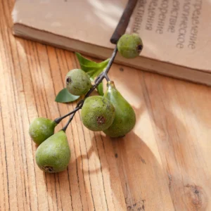 Close-up of green artificial fig fruit stem