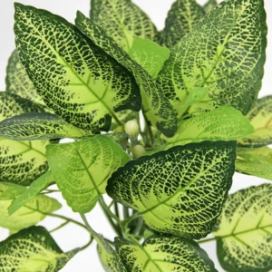 Close-up of artificial Fittonia Foliage Bush