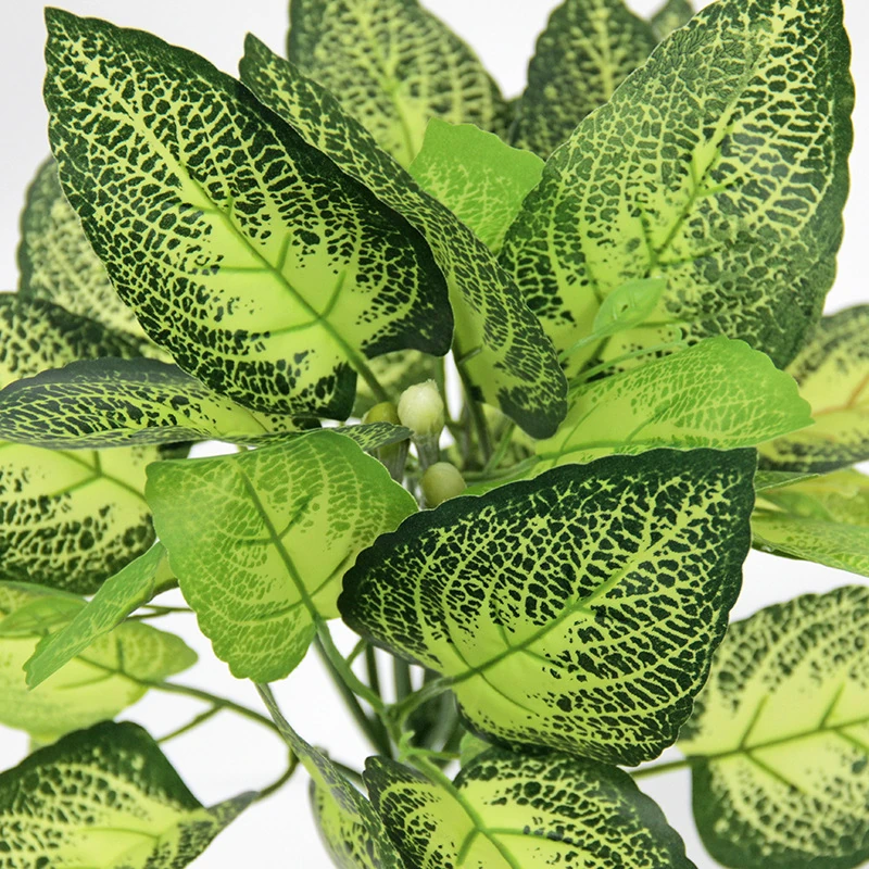 Close-up of artificial Fittonia Foliage Bush
