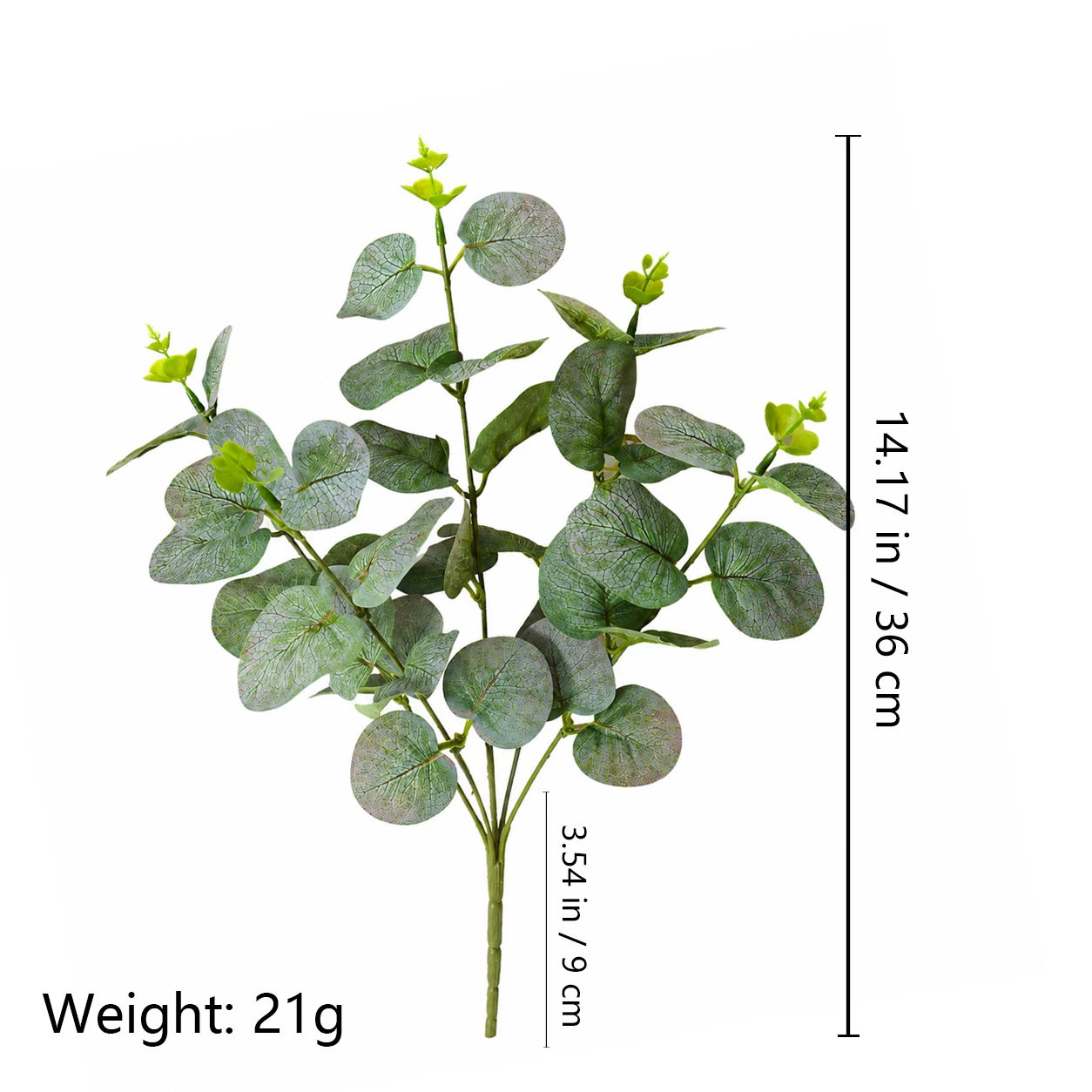 Size diagram for frosted green artificial five-branch eucalyptus spray