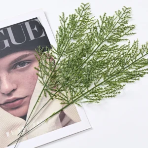 Multiple artificial flat cedar foliage sprays arranged in a layered display