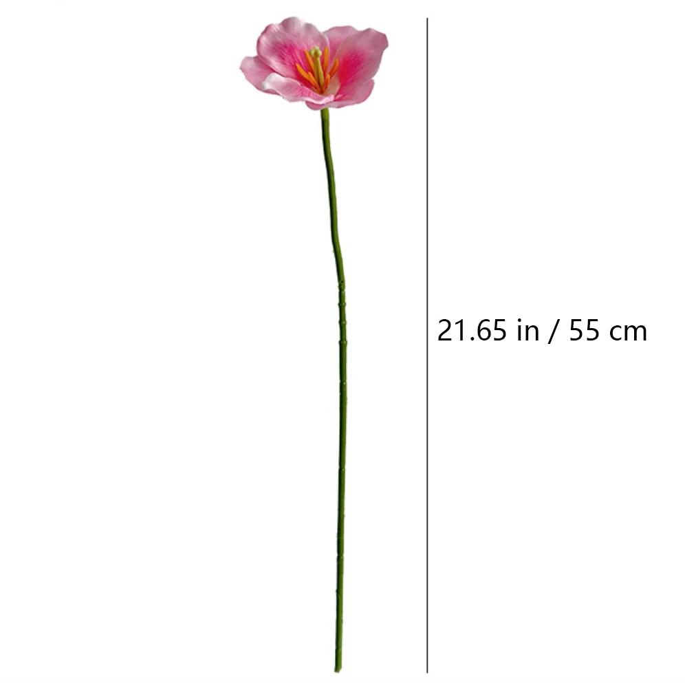Size diagram for 55 cm pink artificial fringed tulip stem