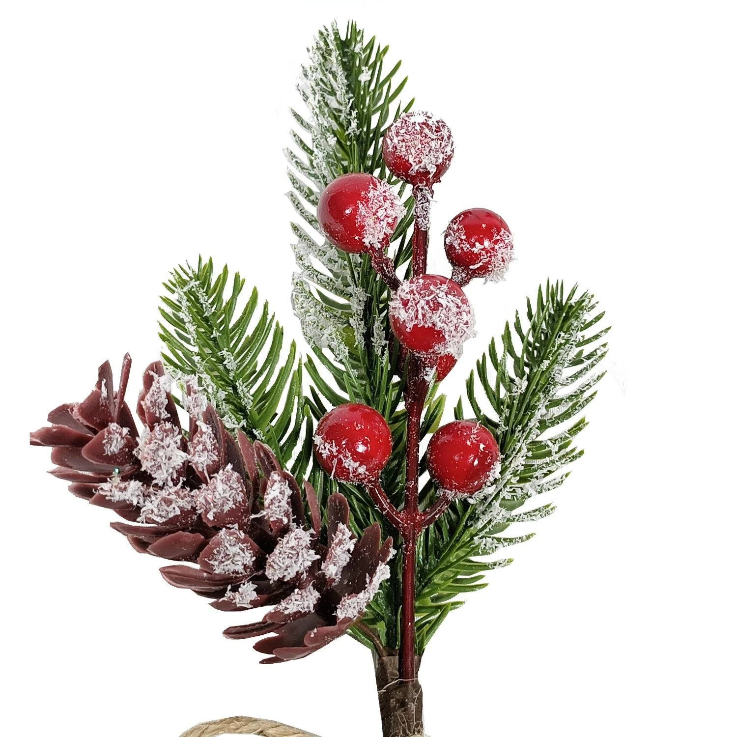 Close-up of frosted pinecone, pine foliage and red berries