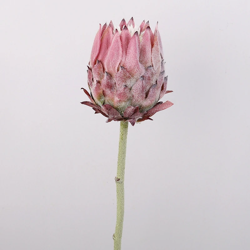 Dusty Pink artificial king protea flower stem