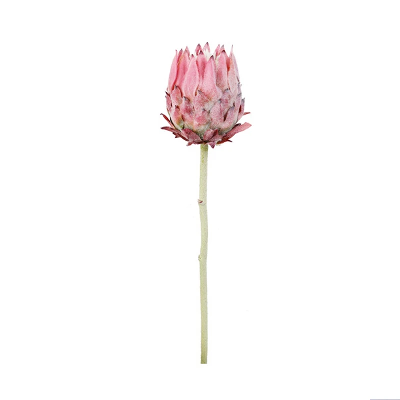 Rosa artificial rey protea flor vástago