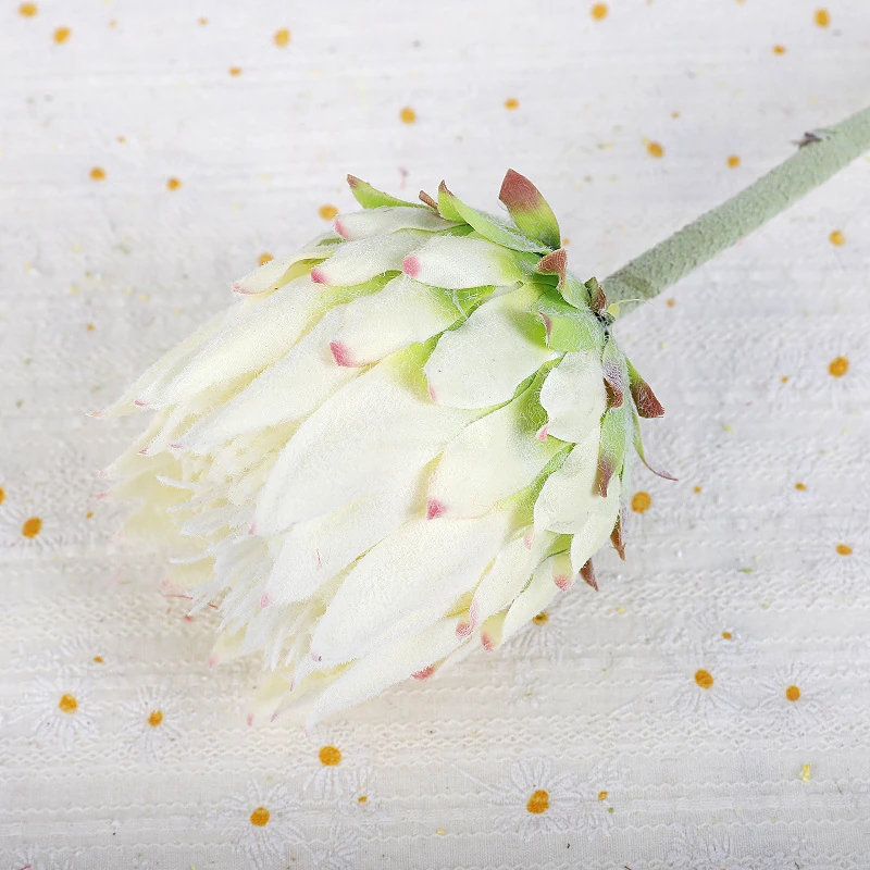 Close-up of white artificial king protea flower stem