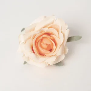 Champagne artificial Layered Rose Flower Head, 7 cm