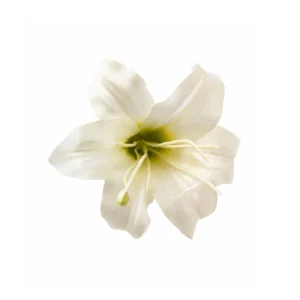 White artificial Lily Flower Head, 8 cm